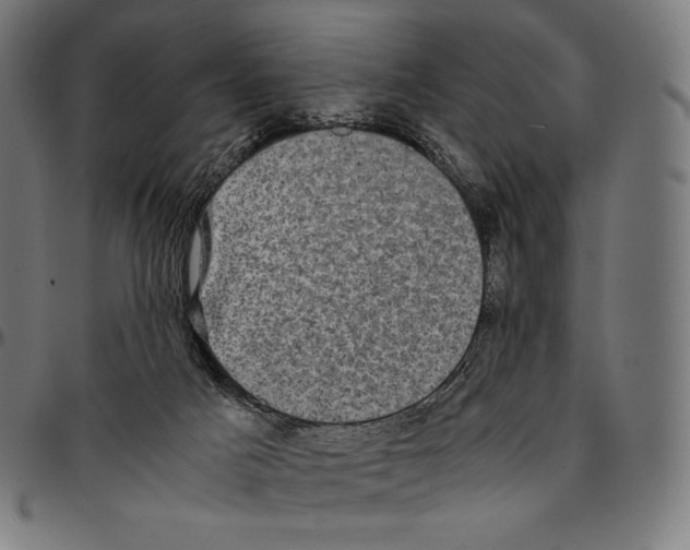 X0000095120025200801041233