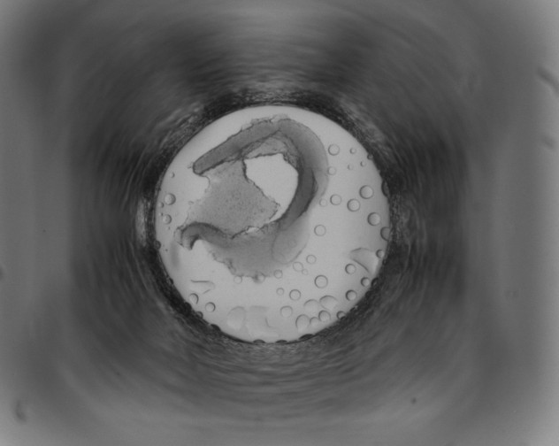 X0000095120026200801041233