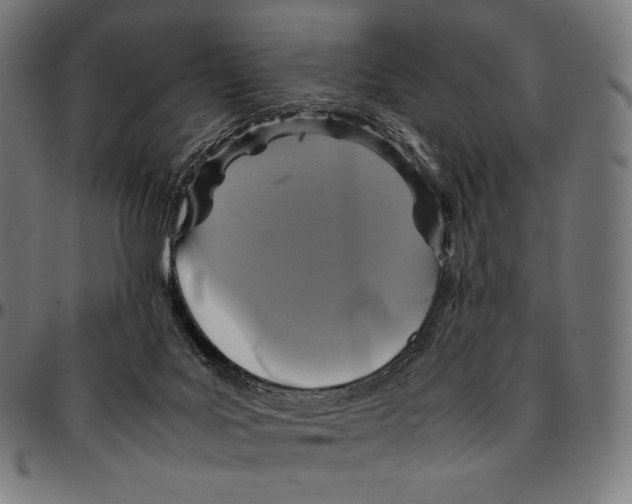 X0000095120027200801041233