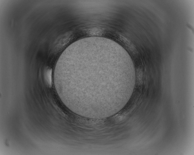 X0000095120028200801041233