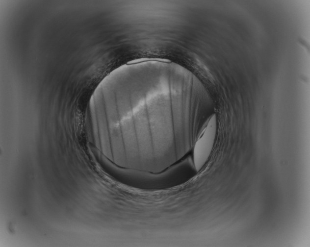 X0000095120029200801041233