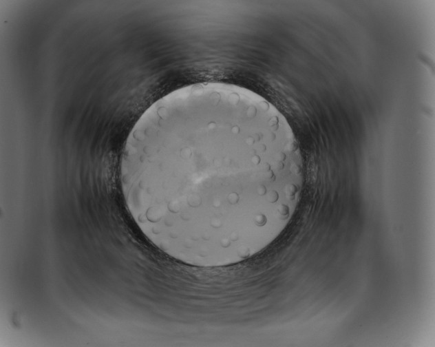 X0000095120030200801041233