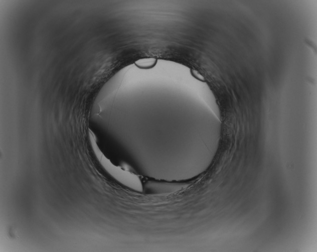 X0000095120031200801041233