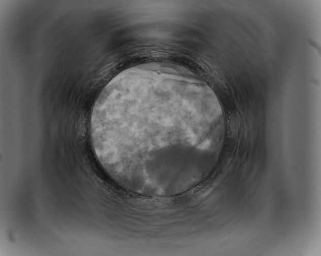 X0000095120032200801041233