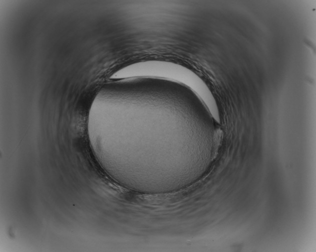 X0000095120033200801041233