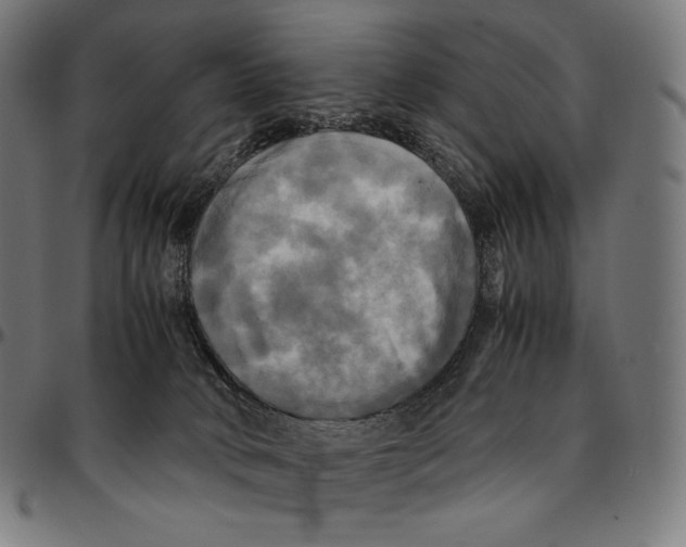 X0000095120034200801041233