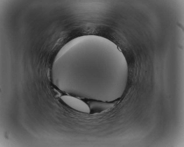 X0000095120035200801041233