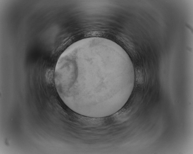 X0000095120036200801041233