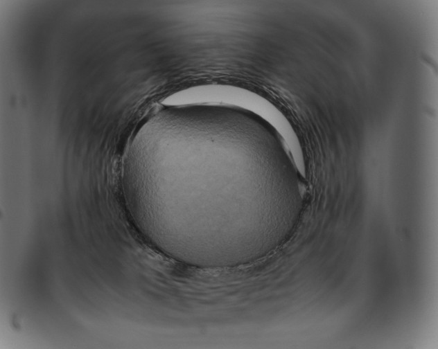 X0000095120037200801041233