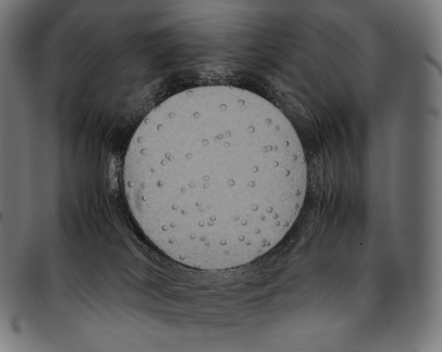 X0000095120038200801041233