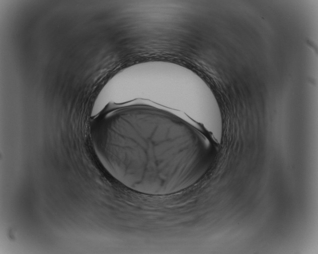 X0000095120039200801041233