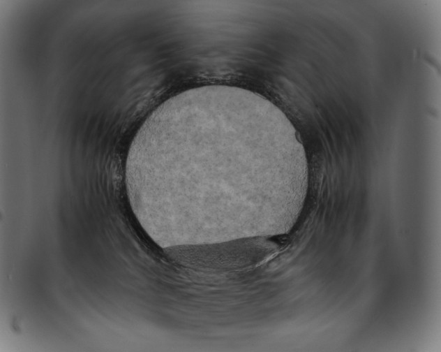 X0000095120040200801041233