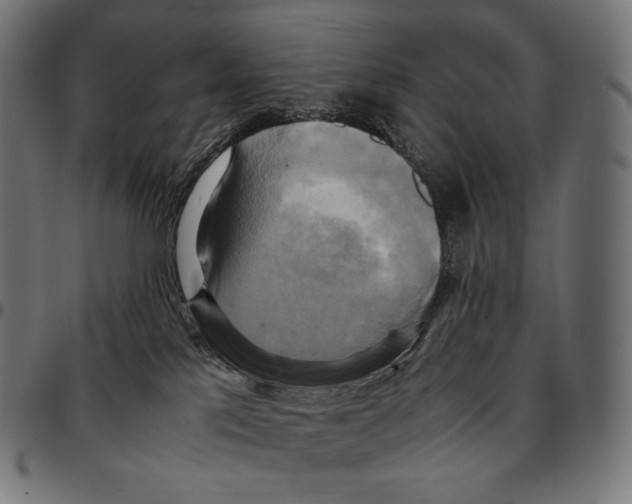 X0000095120041200801041233