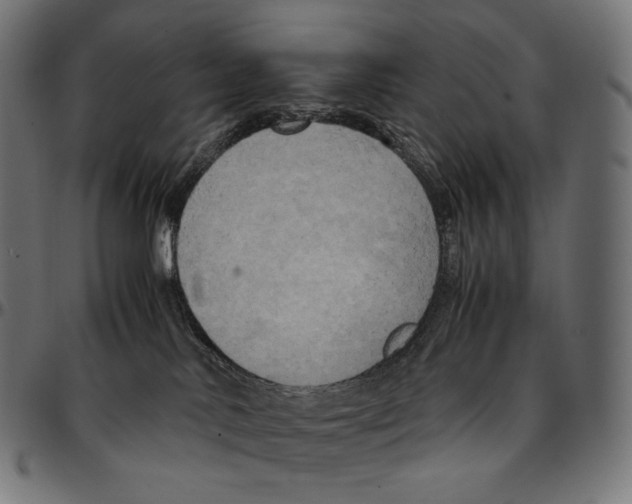 X0000095120042200801041233