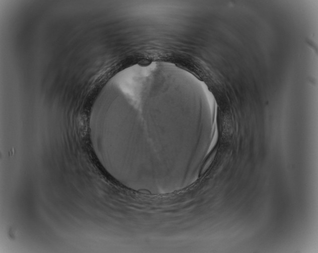 X0000095120043200801041233