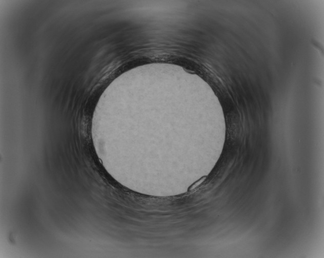 X0000095120044200801041233