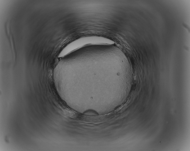 X0000095120045200801041233