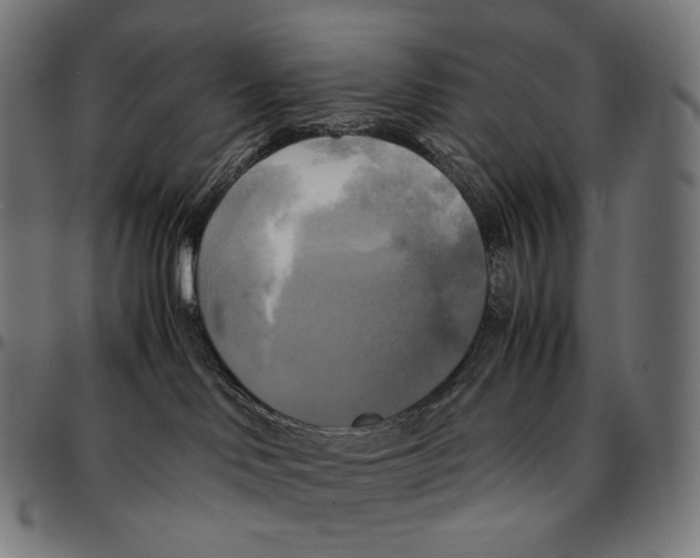 X0000095120046200801041233