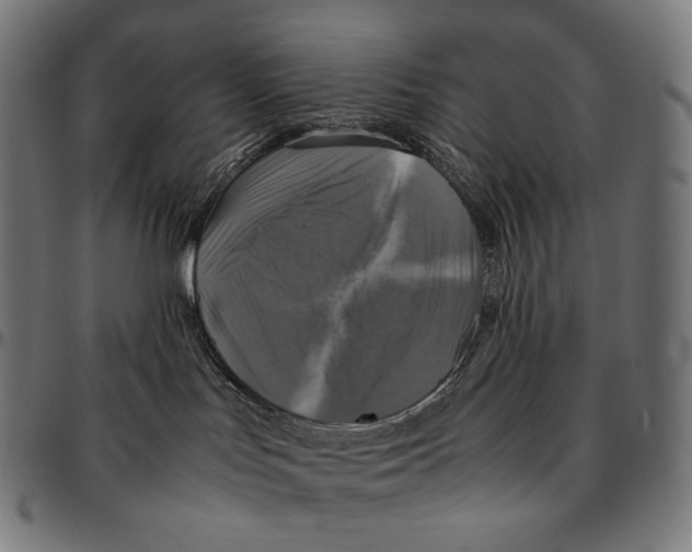 X0000095120047200801041233