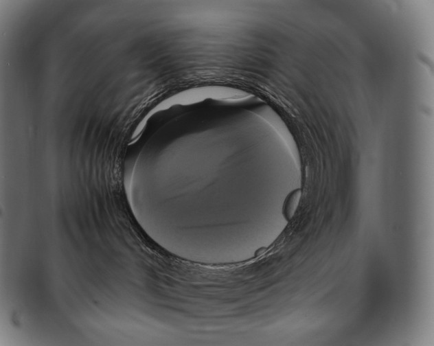 X0000095120048200801041233