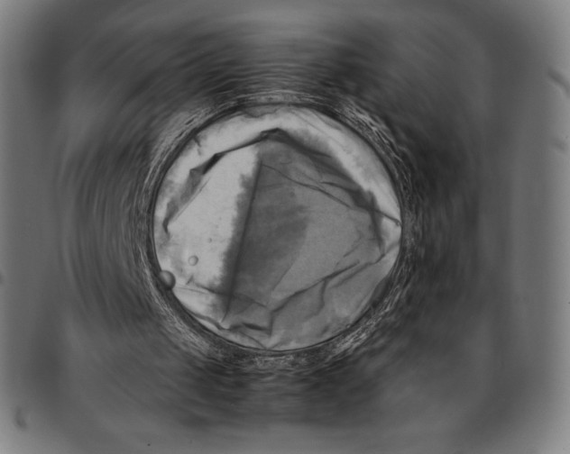 X0000095120049200801041232