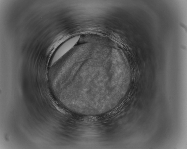 X0000095120050200801041232