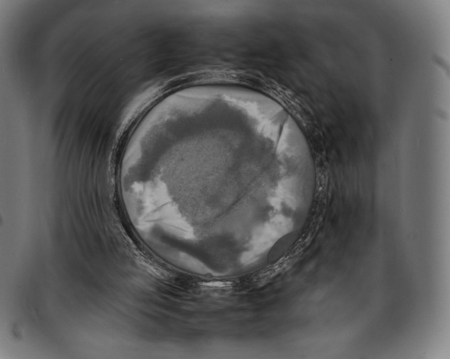 X0000095120053200801041232