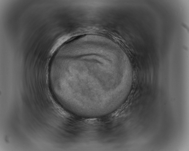 X0000095120054200801041232