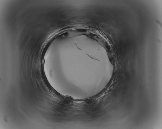 X0000095120055200801041232