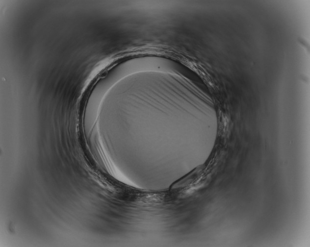 X0000095120056200801041232