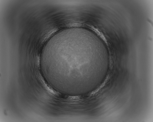 X0000095120057200801041232