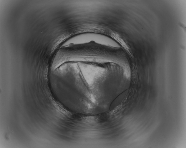 X0000095120058200801041232