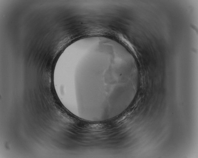 X0000095120059200801041232