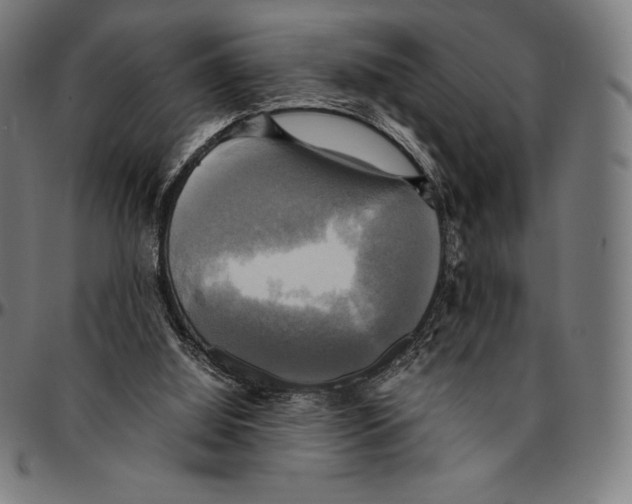 X0000095120060200801041232