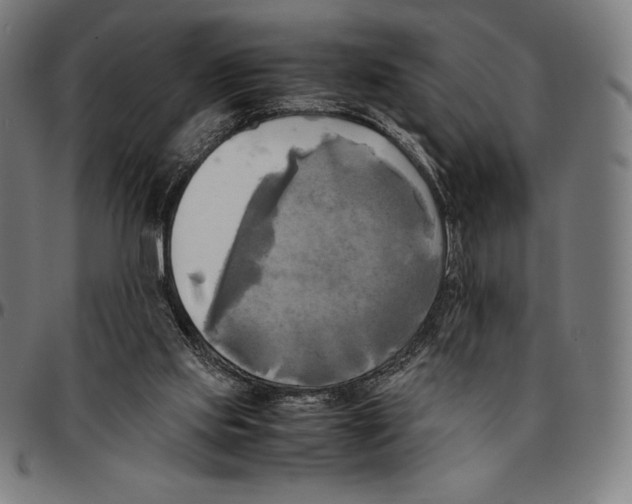 X0000095120061200801041232