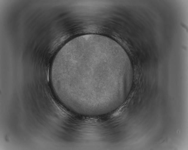 X0000095120062200801041232