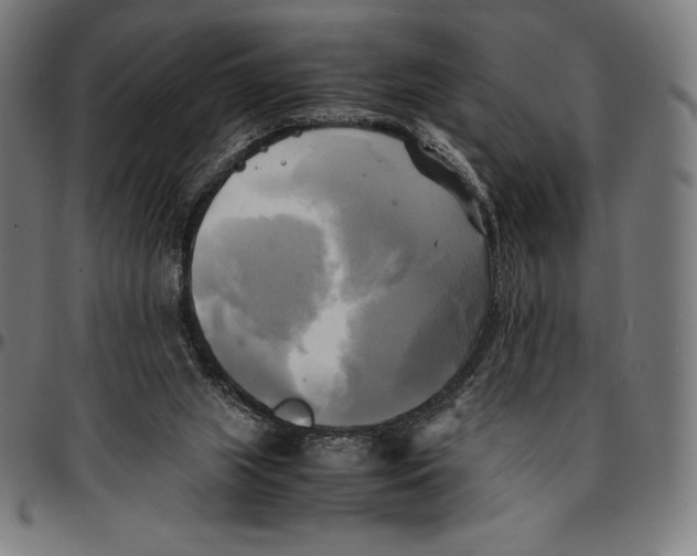 X0000095120063200801041232