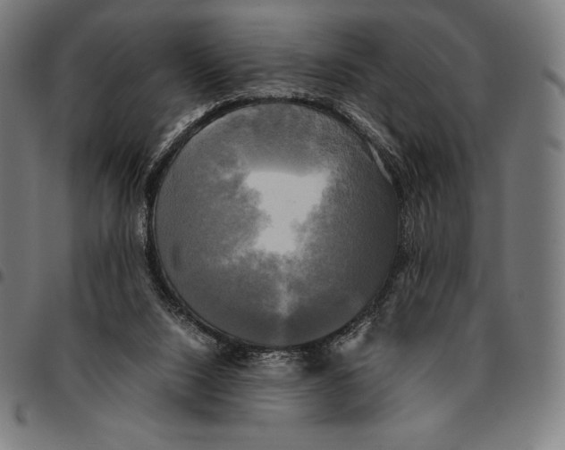 X0000095120064200801041232