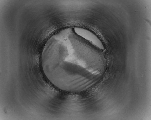 X0000095120066200801041232