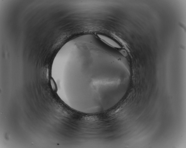 X0000095120067200801041232