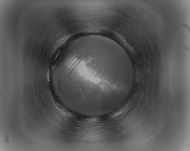 X0000095120068200801041232