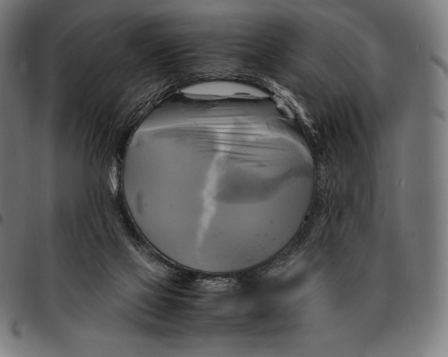 X0000095120069200801041232