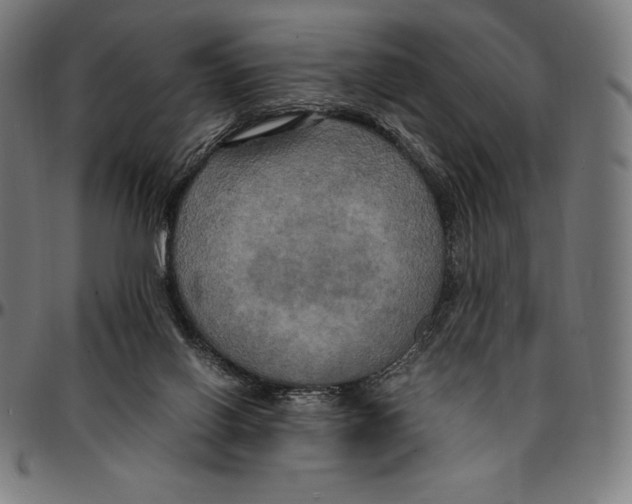 X0000095120070200801041232