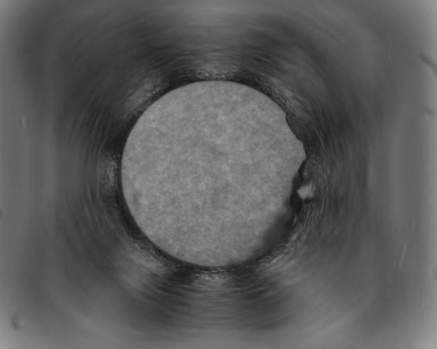 X0000095120071200801041232