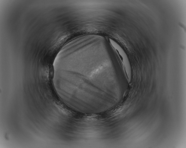 X0000095120072200801041232