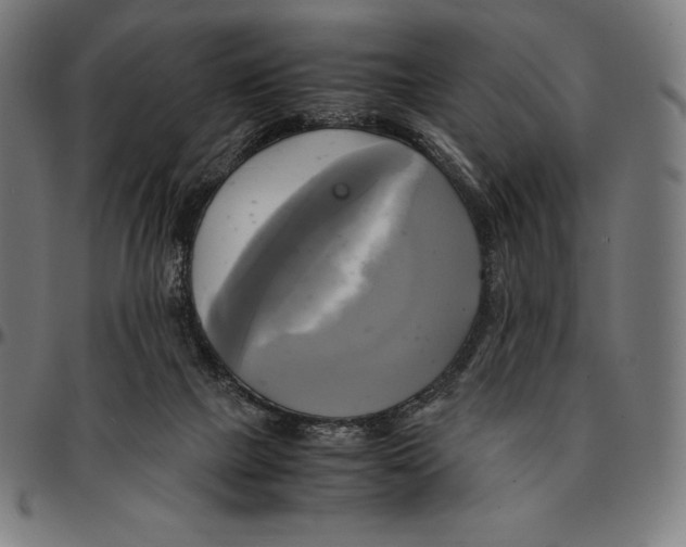 X0000095120073200801041232