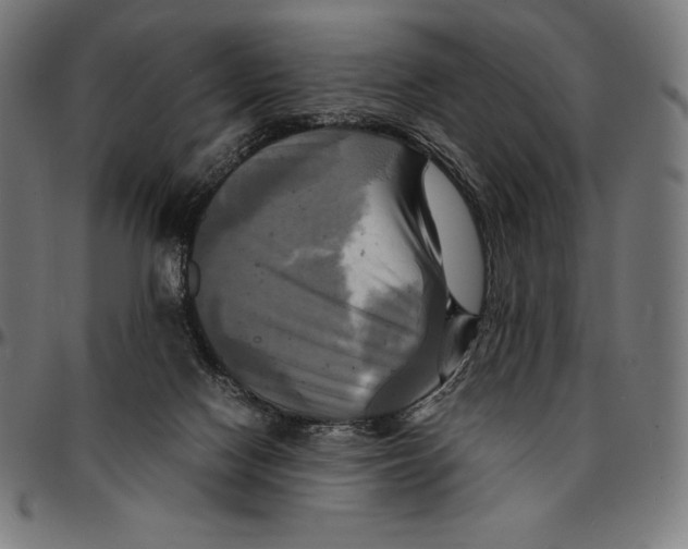 X0000095120074200801041232