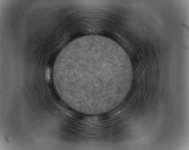 X0000095120075200801041232