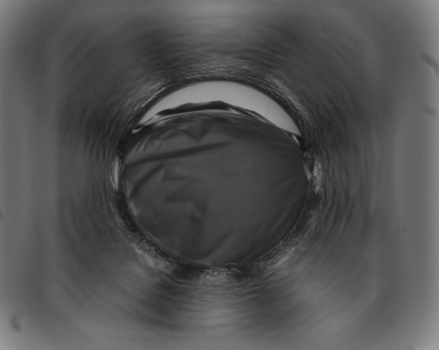 X0000095120076200801041232