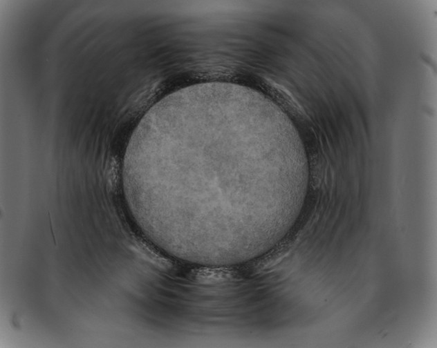 X0000095120077200801041232